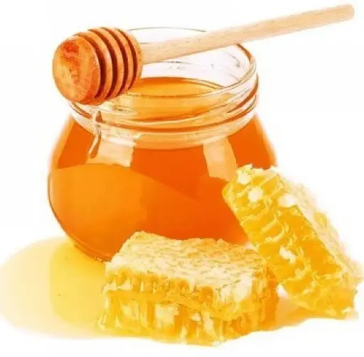SHUDDH HONEY